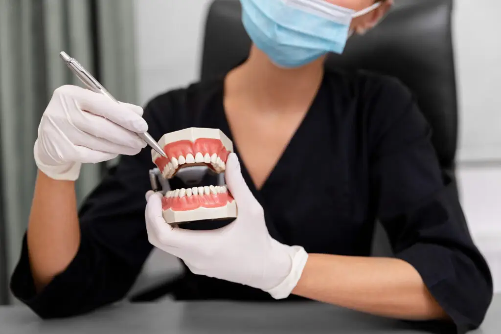 Dental professional examining a dental model while discussing All-on-4 dental implants with a patient in Brandywine.
